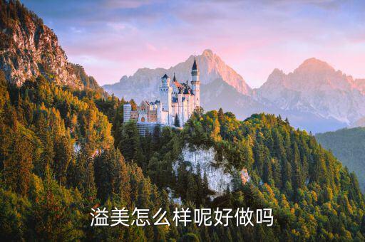 溢美金融做什么的，哪家保理公司的做的好
