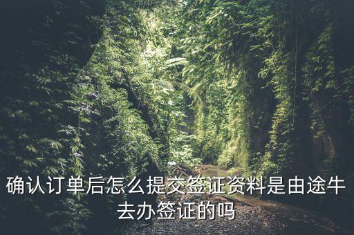 為什么途牛金服資料提交不了，申請途牛額度的資料怎么填寫我填的都是真的也很全啊但是一提