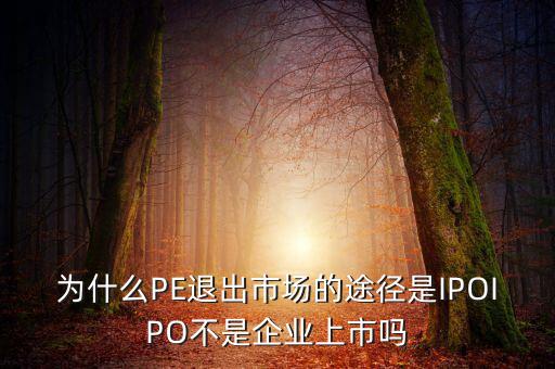 pe為什么要退出，為什么PE退出市場的途徑是IPOIPO不是企業(yè)上市嗎