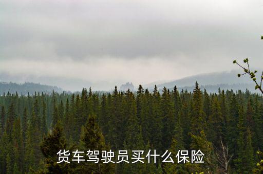 貨車司機(jī)買什么保險(xiǎn)好，大貨車買什么保險(xiǎn)最好