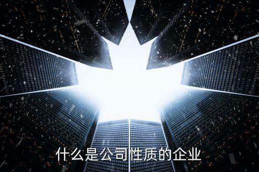 中期集團(tuán)是什么性質(zhì)的企業(yè)，集團(tuán)是什么性質(zhì)的公司
