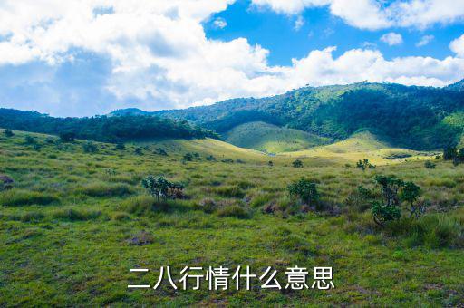 什么是288指數(shù)，股票二八現(xiàn)象是什么意思