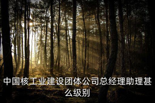 中國核工業(yè)建設(shè)團(tuán)體公司總經(jīng)理助理甚么級(jí)別