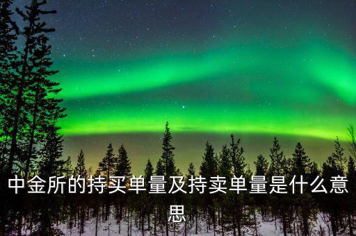 持買單量是什么意思，持賣單什么意思