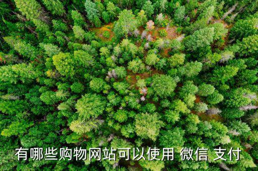 美麗說(shuō)怎么用微信支付,家樂(lè)福全國(guó)門店均已聯(lián)網(wǎng)微信支付