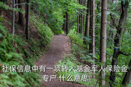 什么是社保轉(zhuǎn)入基金，請(qǐng)問一下社保綜合中轉(zhuǎn)入基金是什么呢不明白里面的基金是怎么回事