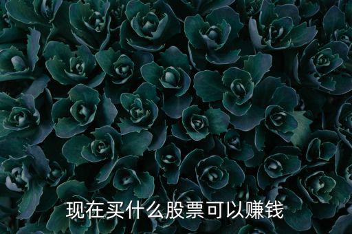 今年買什么股票可以賺錢，現(xiàn)在買什么股票可以賺錢