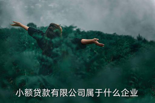 德善小額貸款是什么企業(yè)，德盛行小額貸款是不是真的