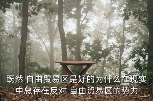 既然 自由貿易區(qū)是好的為什么在現實中總存在反對 自由貿易區(qū)的勢力