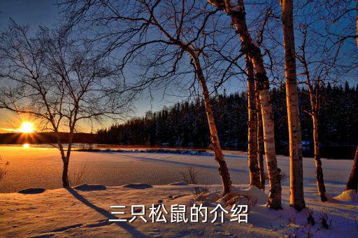 三只松鼠都做了什么，三只松鼠的銷售模式