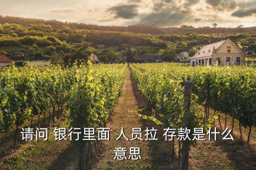 請(qǐng)問 銀行里面 人員拉 存款是什么意思