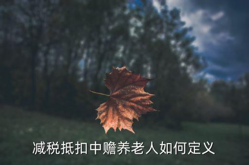 什么是減稅養(yǎng)老，減稅抵扣中贍養(yǎng)老人如何定義