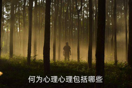 什么是心理層面，人的心理境界分幾個(gè)層次
