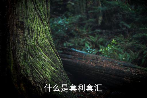 外匯套利是什么意思，什么是外匯期貨套利交易