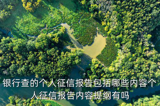 個(gè)人征信查詢都查什么，個(gè)人征信擔(dān)保審查都查什么