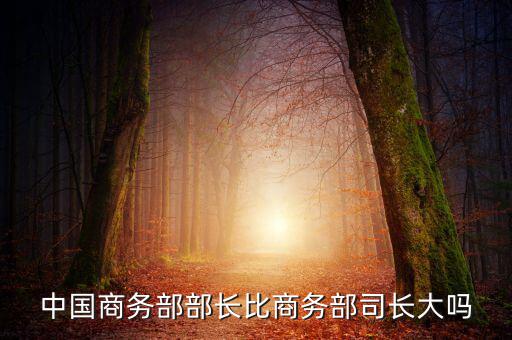 商務(wù)部部長(zhǎng)什么級(jí)別，商務(wù)部部長(zhǎng)多大的官