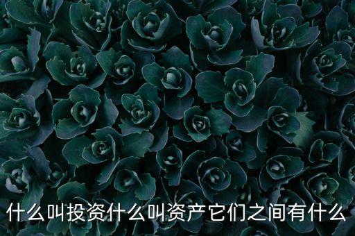什么叫可投資資產(chǎn)，什么叫個(gè)人可投資資產(chǎn)懂的答有分送呦