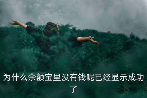 為什么余額寶里沒有錢呢已經顯示成功了