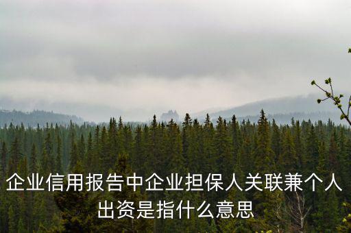擔保人關(guān)聯(lián)是什么意思，企業(yè)征信中 擔保人關(guān)聯(lián)是什么意思