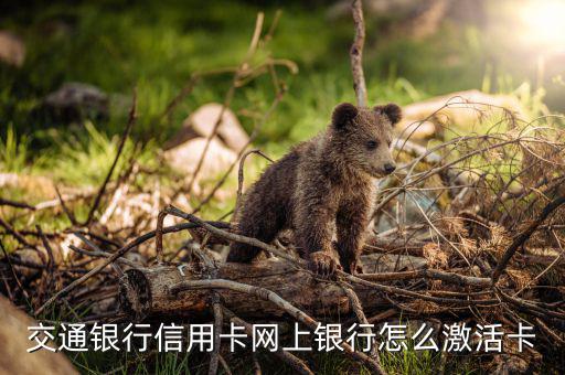 交通信用卡激活用什么手續(xù)，交通銀信用卡被注銷了怎么激活