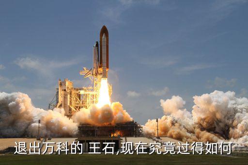 王石現(xiàn)在怎么樣,王瑞杰:等我成功，萬(wàn)科就不需要王石