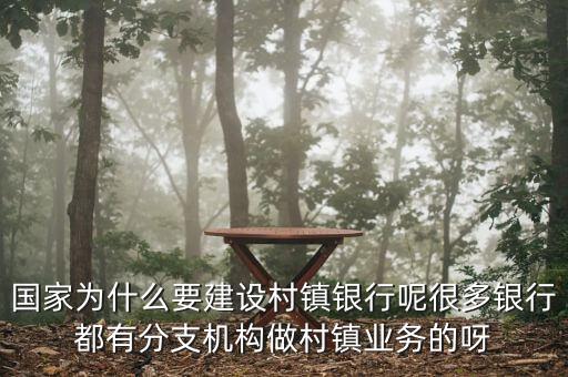國家為什么要建設村鎮(zhèn)銀行呢很多銀行都有分支機構做村鎮(zhèn)業(yè)務的呀