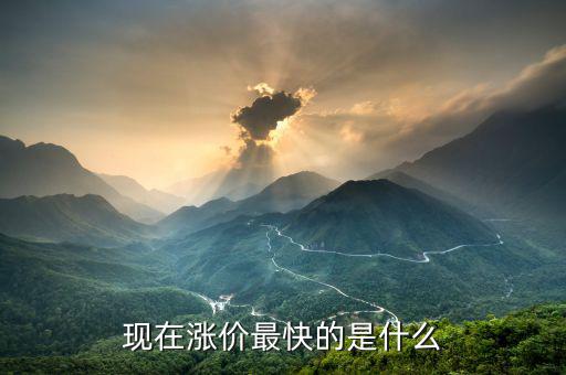 什么漲價快，大家猜猜看 什么東西會漲價的很快