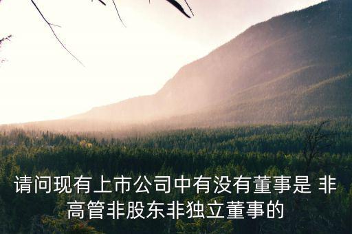 什么是非獨立董事，什么叫執(zhí)行董事非執(zhí)行董事和獨立非執(zhí)行董事