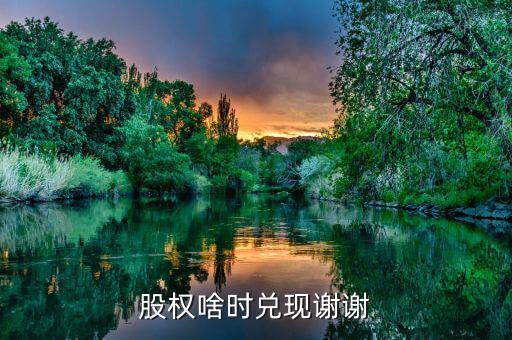 荃銀高科股權(quán)什么時候兌現(xiàn)，股權(quán)啥時兌現(xiàn)謝謝