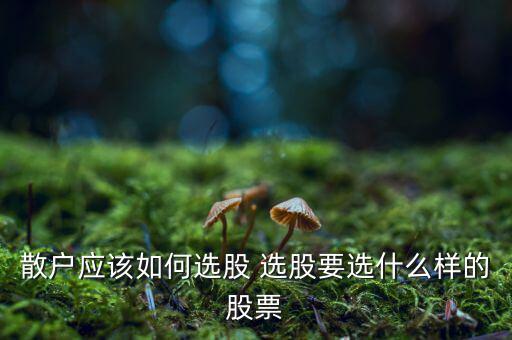 散戶(hù)應(yīng)該如何選股 選股要選什么樣的股票