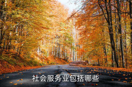 社區(qū)服務(wù)業(yè)由什么組成，社區(qū)服務(wù)包括居委會(huì)