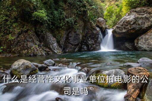 什么是經(jīng)營性事業(yè)單位，哪些屬于經(jīng)營性文化事業(yè)單位