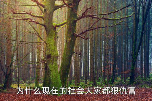 為什么大家都仇富，為什么現(xiàn)在的社會(huì)大家都狠仇富