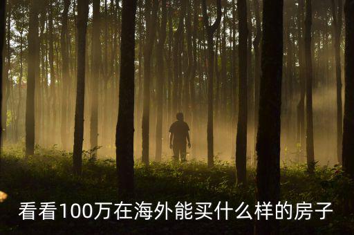 100萬在國外能買什么，看看100萬在海外能買什么樣的房子