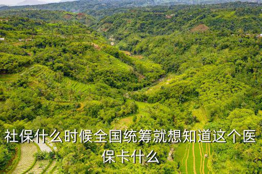 社保什么時(shí)候全國(guó)統(tǒng)籌就想知道這個(gè)醫(yī)保卡什么