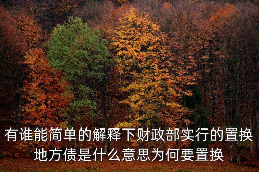 有誰能簡(jiǎn)單的解釋下財(cái)政部實(shí)行的置換地方債是什么意思為何要置換