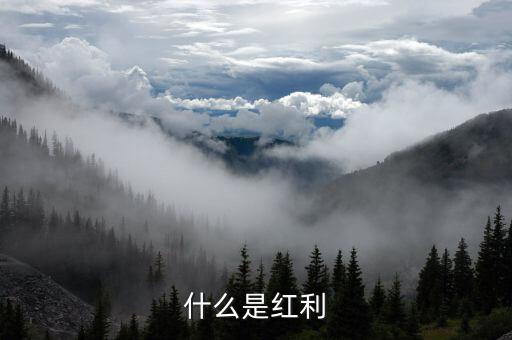 什么是全球化紅利，紅利是指什么意思