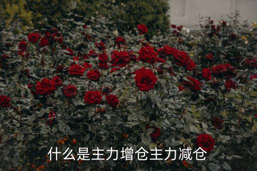 主力增減倉什么意思，什么是主力增倉主力減倉