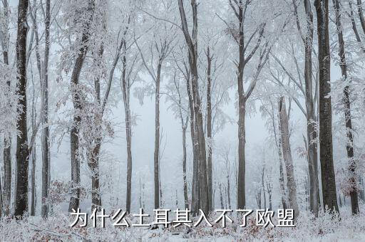 為什么土耳其無法加入歐盟，為什么土耳其入不了歐盟