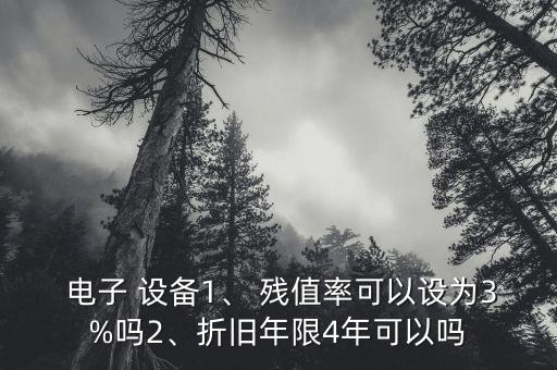  電子 設(shè)備1、 殘值率可以設(shè)為3%嗎2、折舊年限4年可以嗎