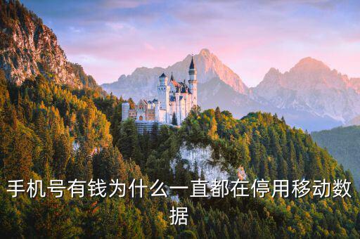 鏈動數(shù)據(jù)為什么有錢，廣東鏈動為什么那么多人認同和喜歡