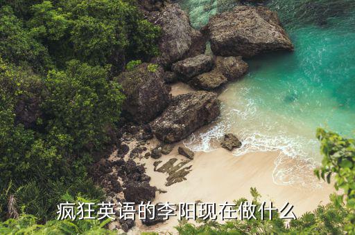 瘋狂英語的李陽現在做什么