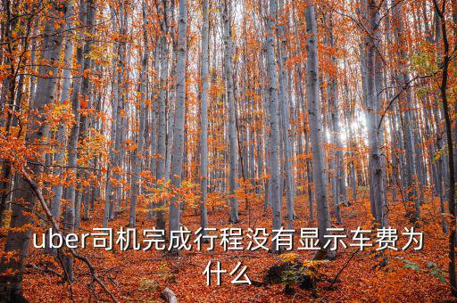 uber為什么不顯示價格，優(yōu)步叫車前看不到價格
