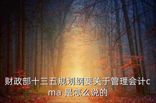 財(cái)政部對什么有具體規(guī)劃，財(cái)政部每年的具體招人計(jì)劃是怎么制定的或者那些公務(wù)員的職