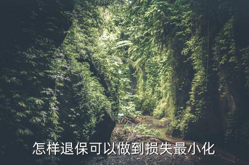 什么辦法能退保險不損失，退保怎樣能減少損失