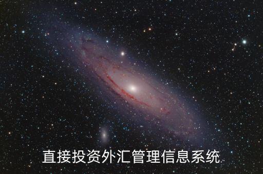 外資上什么傳到外管局應(yīng)用平臺(tái)，直接投資外匯管理信息系統(tǒng)