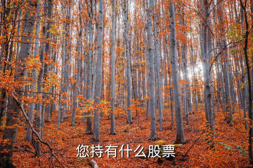 張正委持有什么的股票，香港中央代理人持有哪些股票