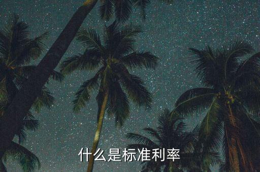 利率屬于什么指標(biāo)，什么是標(biāo)準(zhǔn)利率