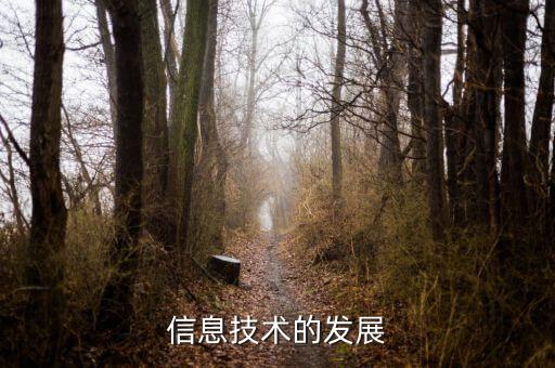 信息發(fā)展是什么板塊，中國軟件 屬于什么板塊