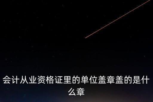 會計(jì)從業(yè)資格證里的單位蓋章蓋的是什么章